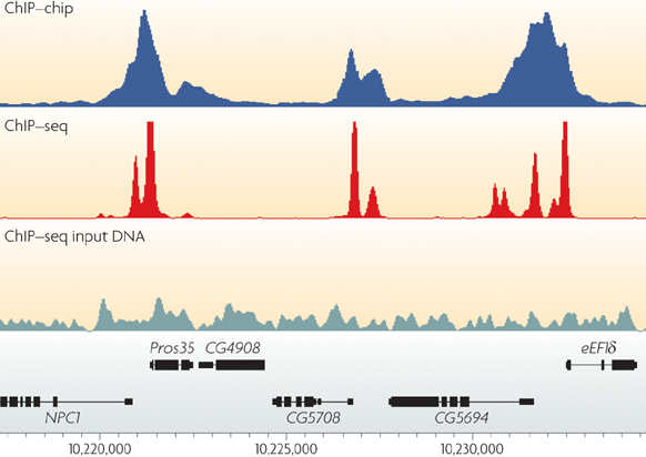 ChIP-Seq Peaks
