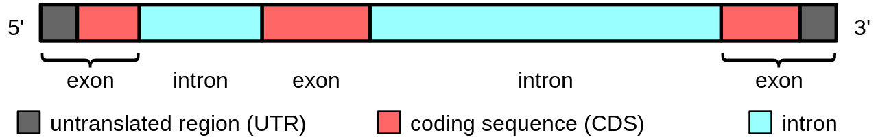 exome sequencing and library preparation