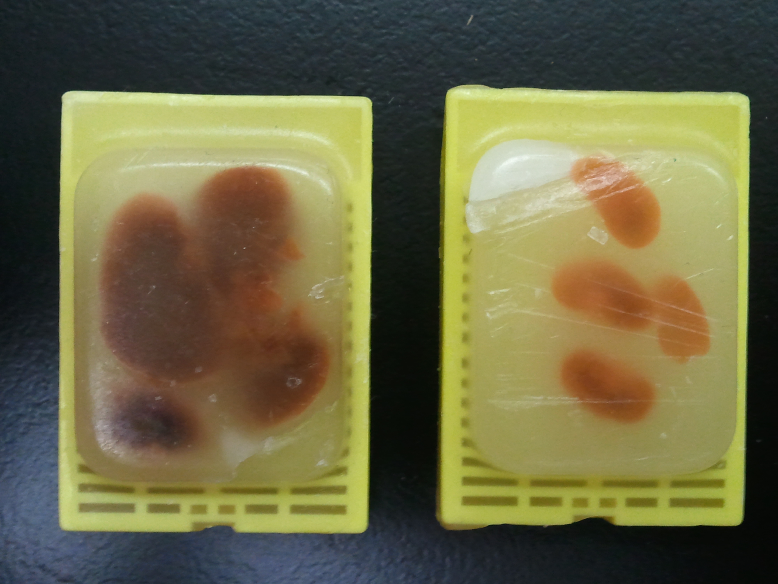 RNA-seq from FFPE samples